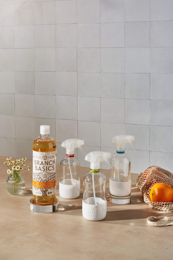 How to Clean A Toaster Oven With Branch Basics