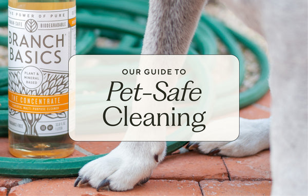 Branch Basics guide to pet-safe cleaning