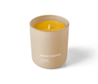 A Branch Basics 100% Beeswax Candle, housed in a glass jar with an organic cotton wick, displayed on a transparent background.