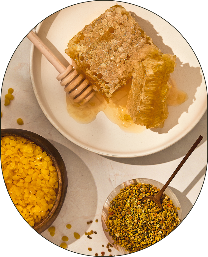 A plate containing honeycomb, honey, and 100% pure beeswax, positioned against a neutral background.
